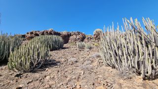 2024-02-GranCan-Playa Del Aguila-Trek-41.jpg